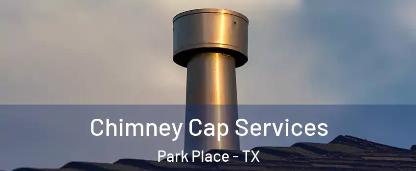 Chimney Cap Services Park Place - TX