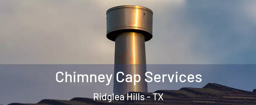 Chimney Cap Services Ridglea Hills - TX