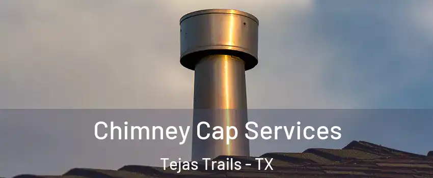 Chimney Cap Services Tejas Trails - TX