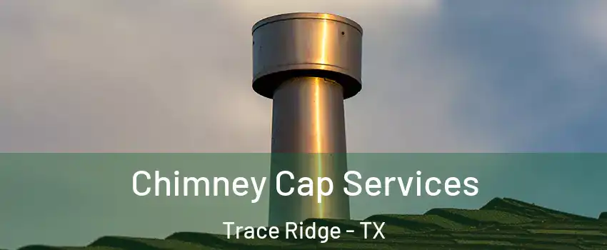 Chimney Cap Services Trace Ridge - TX