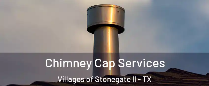 Chimney Cap Services Villages of Stonegate II - TX