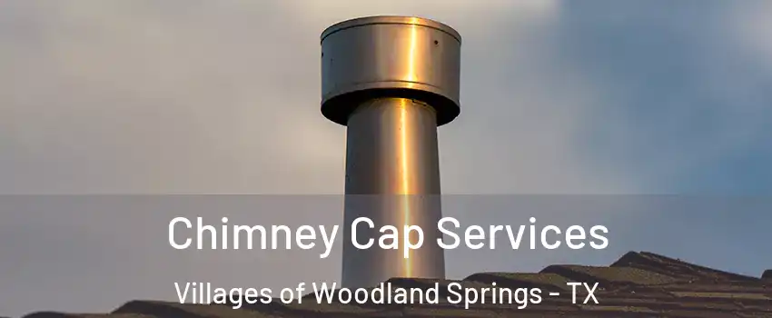Chimney Cap Services Villages of Woodland Springs - TX