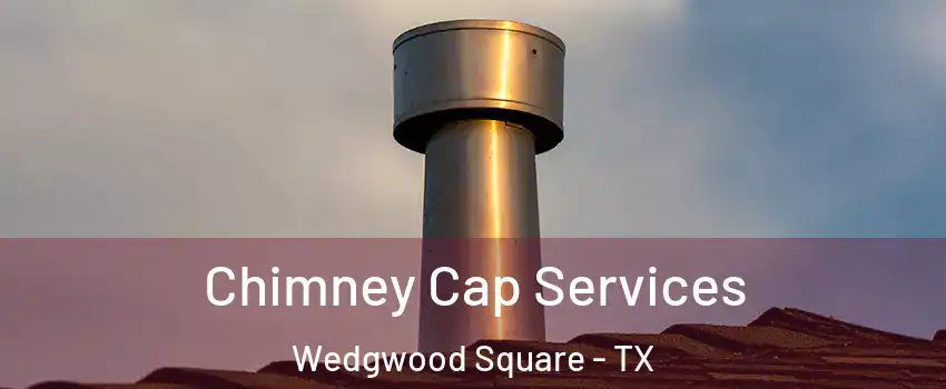 Chimney Cap Services Wedgwood Square - TX