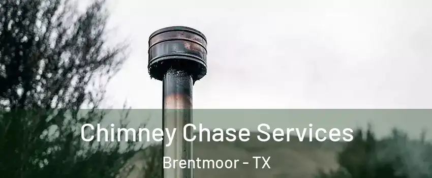 Chimney Chase Services Brentmoor - TX