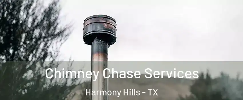 Chimney Chase Services Harmony Hills - TX