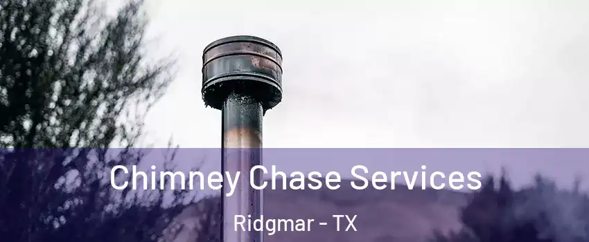 Chimney Chase Services Ridgmar - TX