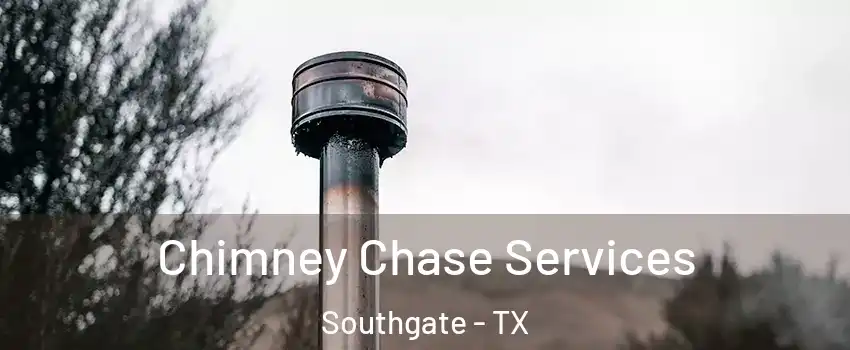 Chimney Chase Services Southgate - TX