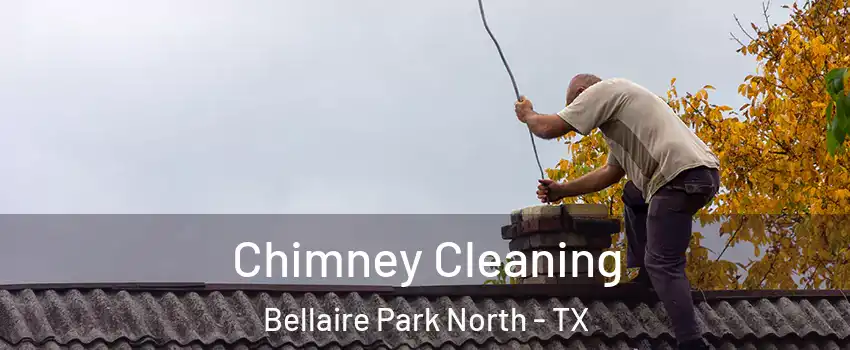 Chimney Cleaning Bellaire Park North - TX