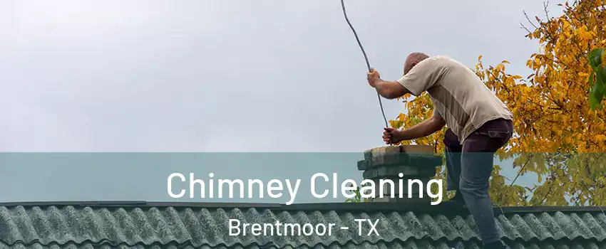 Chimney Cleaning Brentmoor - TX