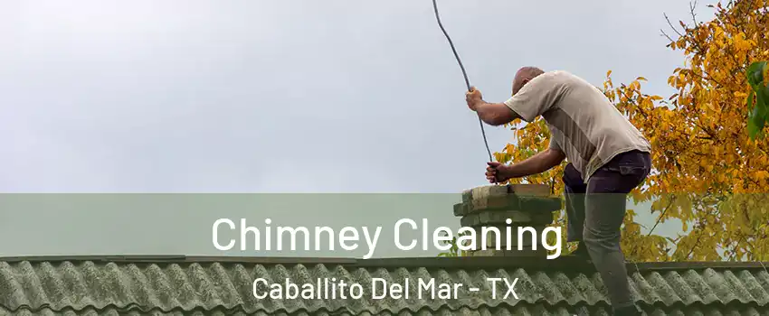 Chimney Cleaning Caballito Del Mar - TX