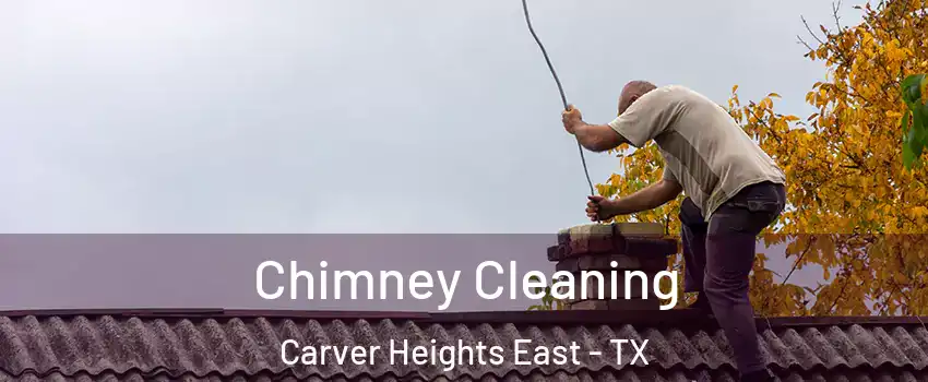 Chimney Cleaning Carver Heights East - TX
