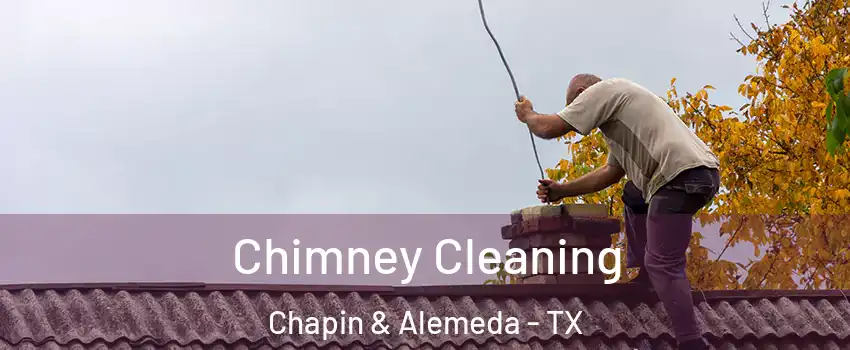 Chimney Cleaning Chapin & Alemeda - TX