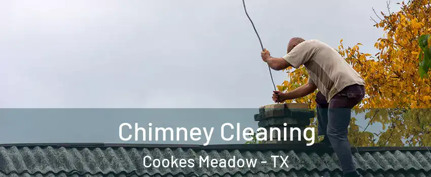 Chimney Cleaning Cookes Meadow - TX