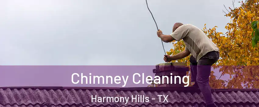 Chimney Cleaning Harmony Hills - TX
