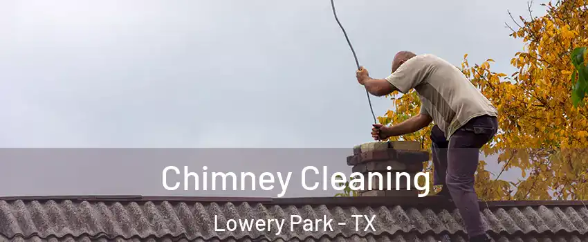 Chimney Cleaning Lowery Park - TX