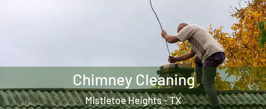 Chimney Cleaning Mistletoe Heights - TX