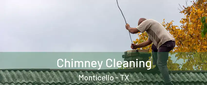 Chimney Cleaning Monticello - TX