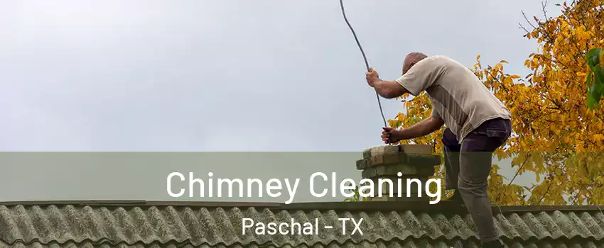 Chimney Cleaning Paschal - TX