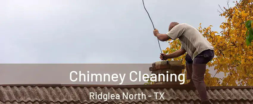 Chimney Cleaning Ridglea North - TX
