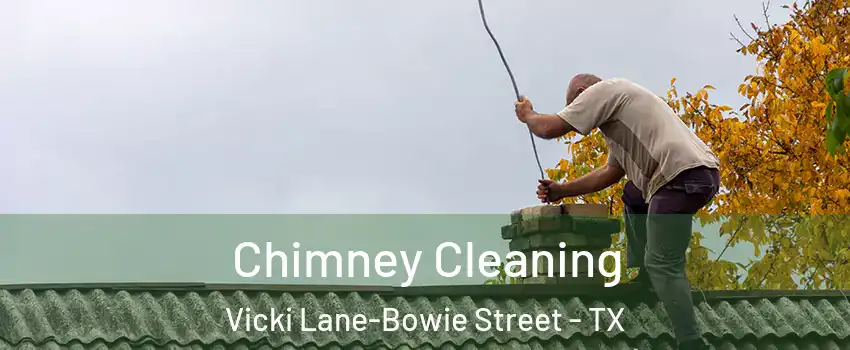 Chimney Cleaning Vicki Lane-Bowie Street - TX