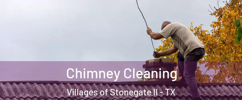Chimney Cleaning Villages of Stonegate II - TX