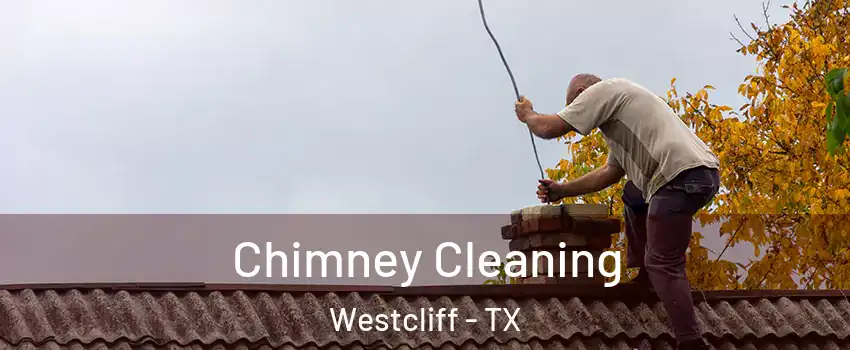 Chimney Cleaning Westcliff - TX