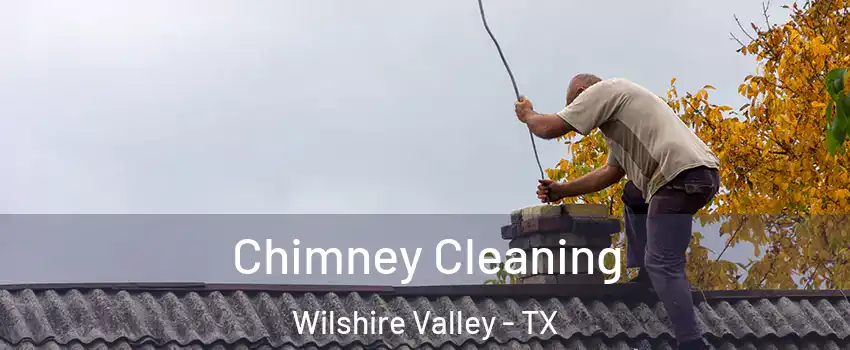 Chimney Cleaning Wilshire Valley - TX