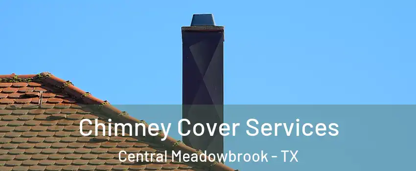 Chimney Cover Services Central Meadowbrook - TX