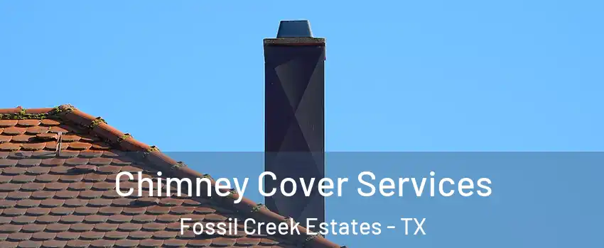 Chimney Cover Services Fossil Creek Estates - TX