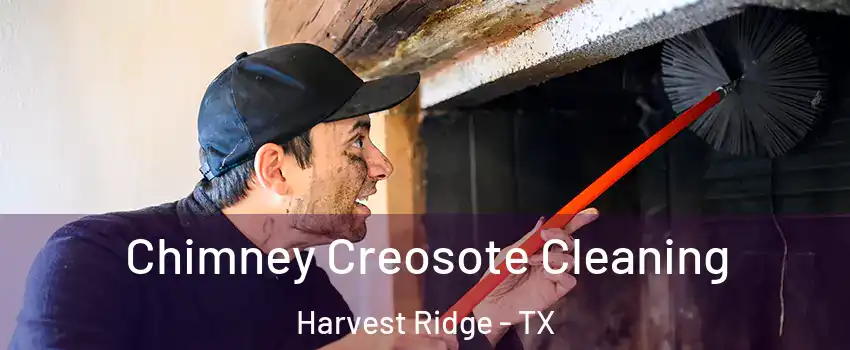 Chimney Creosote Cleaning Harvest Ridge - TX
