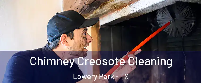 Chimney Creosote Cleaning Lowery Park - TX