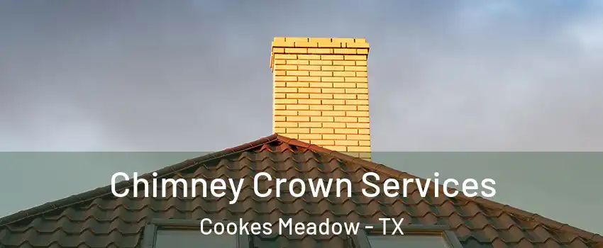 Chimney Crown Services Cookes Meadow - TX