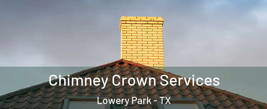 Chimney Crown Services Lowery Park - TX