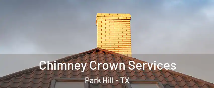 Chimney Crown Services Park Hill - TX
