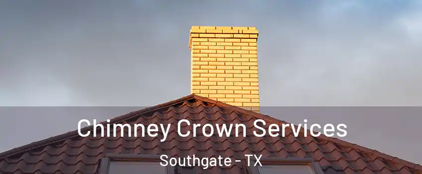 Chimney Crown Services Southgate - TX