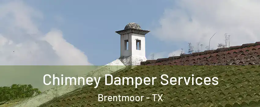 Chimney Damper Services Brentmoor - TX