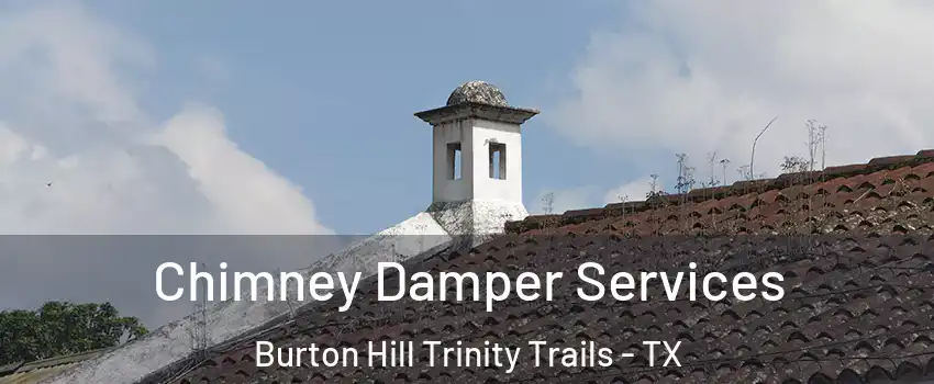 Chimney Damper Services Burton Hill Trinity Trails - TX