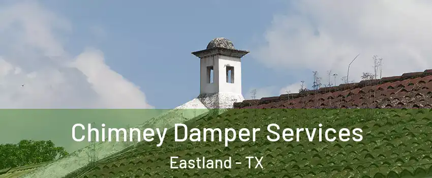 Chimney Damper Services Eastland - TX