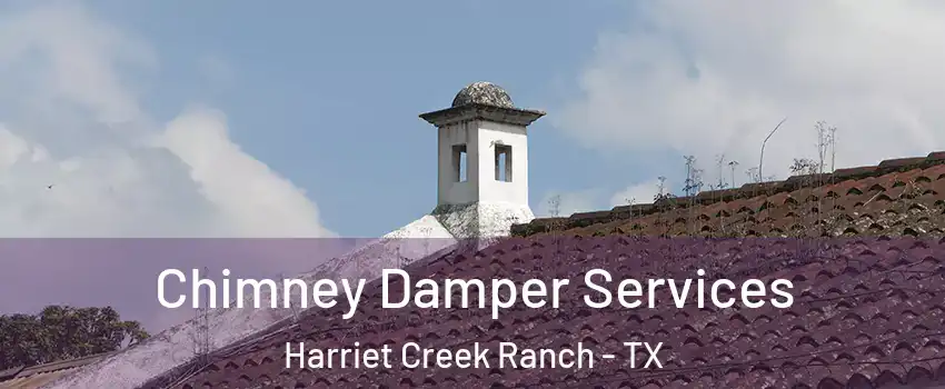 Chimney Damper Services Harriet Creek Ranch - TX