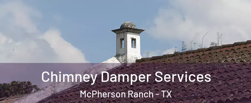Chimney Damper Services McPherson Ranch - TX