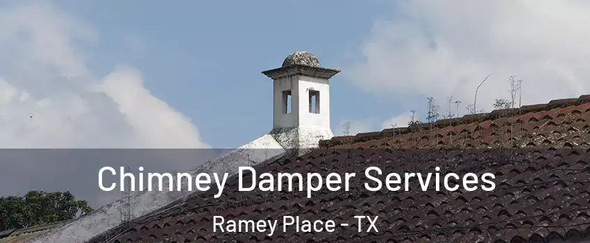 Chimney Damper Services Ramey Place - TX