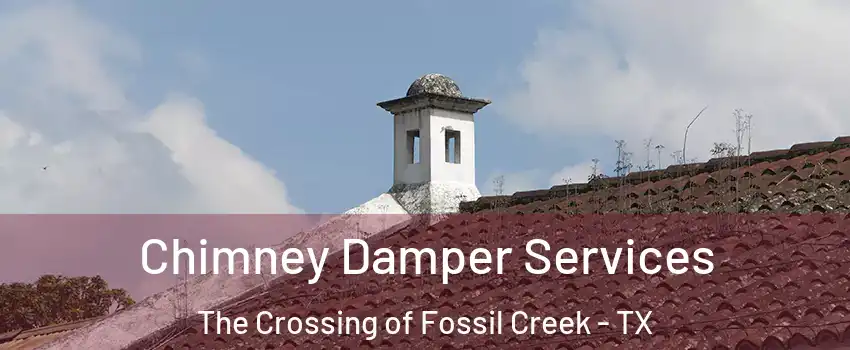 Chimney Damper Services The Crossing of Fossil Creek - TX