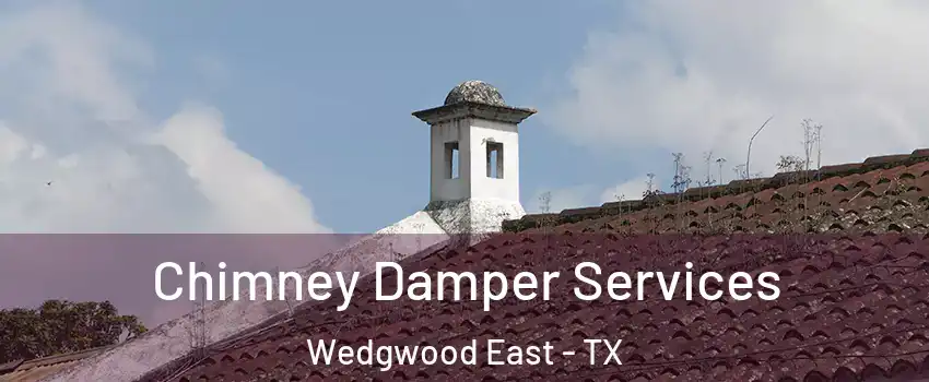 Chimney Damper Services Wedgwood East - TX