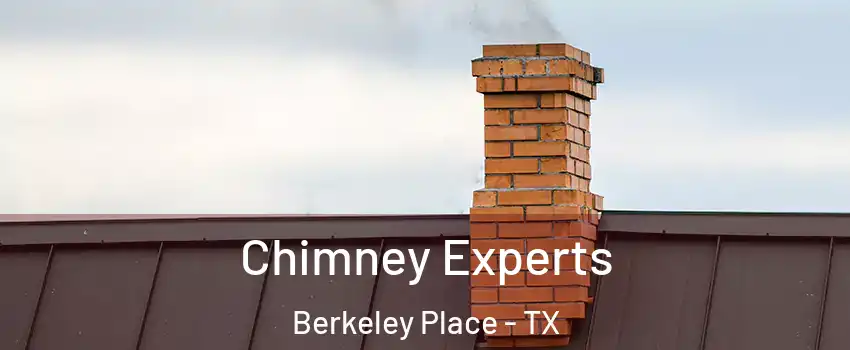 Chimney Experts Berkeley Place - TX