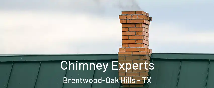 Chimney Experts Brentwood-Oak Hills - TX
