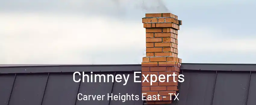 Chimney Experts Carver Heights East - TX