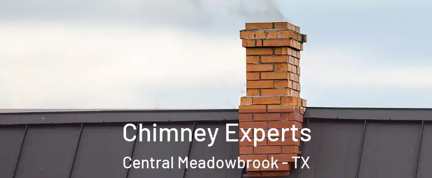 Chimney Experts Central Meadowbrook - TX