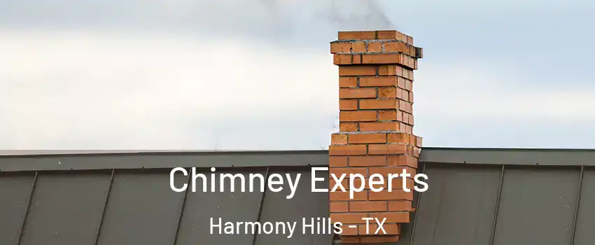 Chimney Experts Harmony Hills - TX