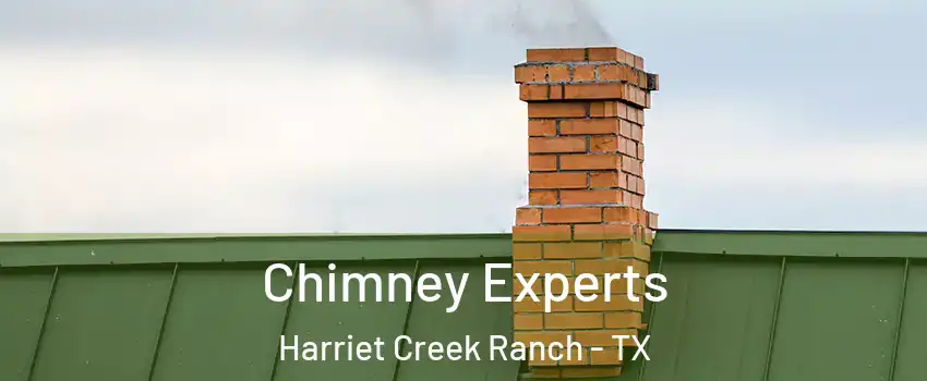 Chimney Experts Harriet Creek Ranch - TX