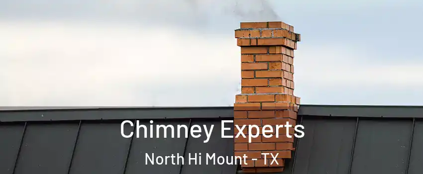 Chimney Experts North Hi Mount - TX